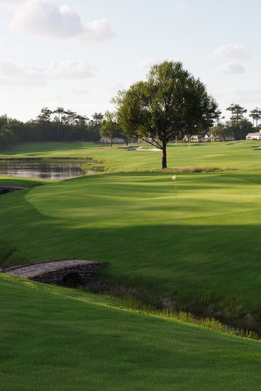 CCF verticle tile media highlight spikes golf travel